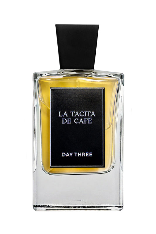 Say Less by day-three-fragrances at INDIEHOUSE modern fragrances Atlanta