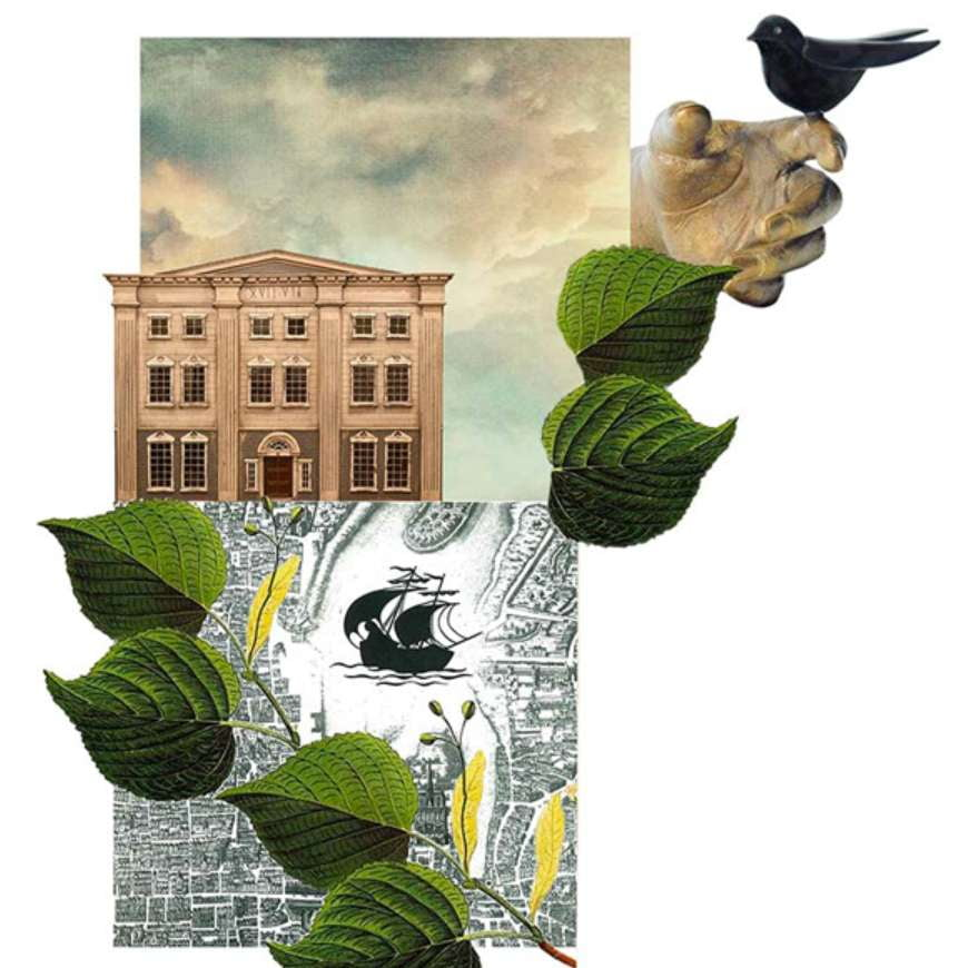 Tilleul - Le Galion - INDIEHOUSE modern fragrances