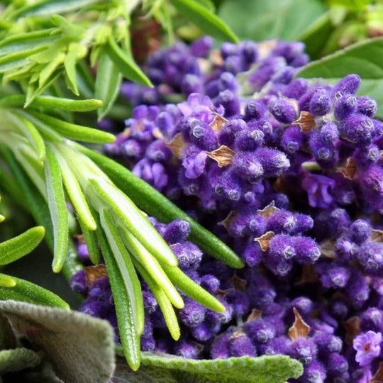 Aromatic