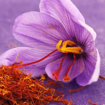 Floral Amber