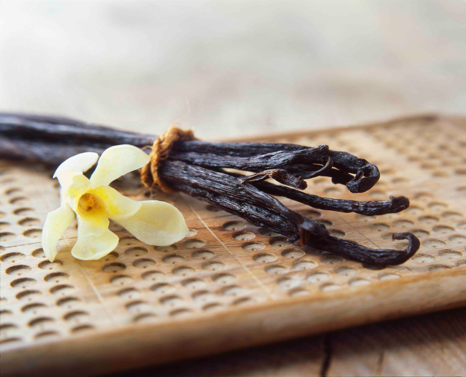 Vanilla