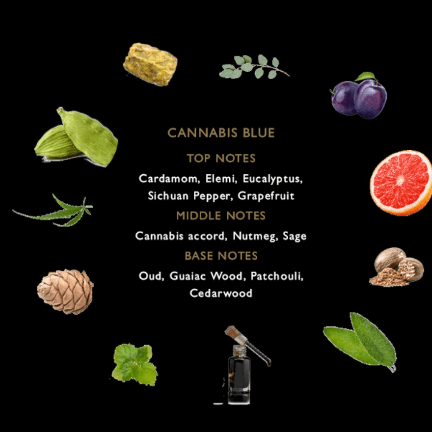 CANNABIS BLUE