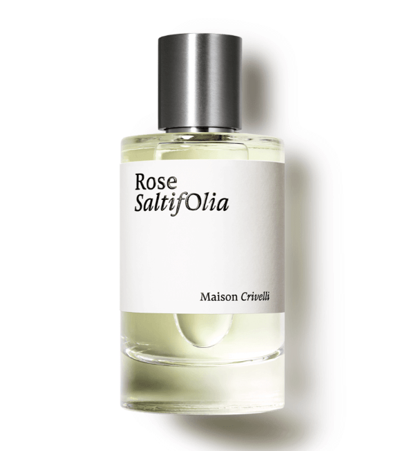 ROSE saltifolia